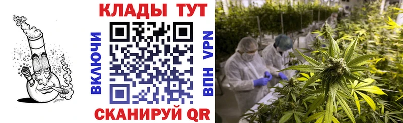 Какие есть наркотики Луга Марихуана  КОКАИН  ГАШИШ  Alpha PVP  Меф 