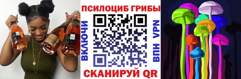 как найти закладки  Луга  маркетплейс какой сайт  Псилоцибиновые грибы Psilocybe 