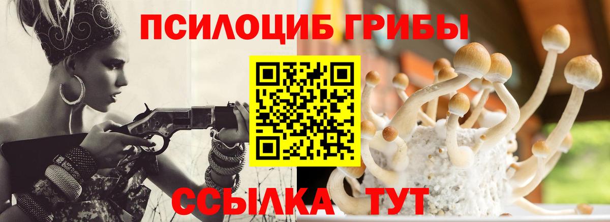 Псилоцибиновые грибы мухоморы Луга