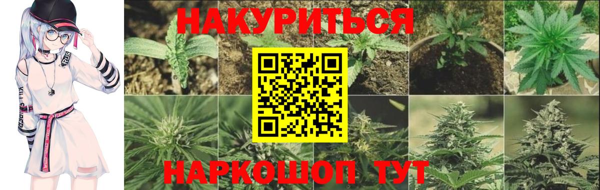 Канабис White Widow Луга