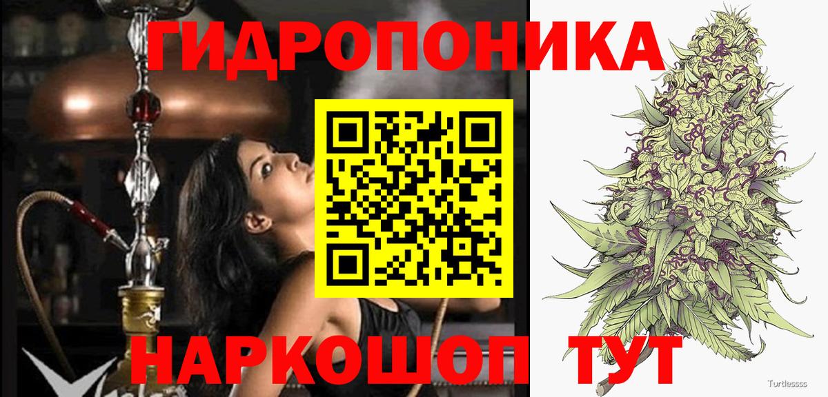 Канабис планчик  Луга  Каннабис MAZAR  Каннабис Ganja 